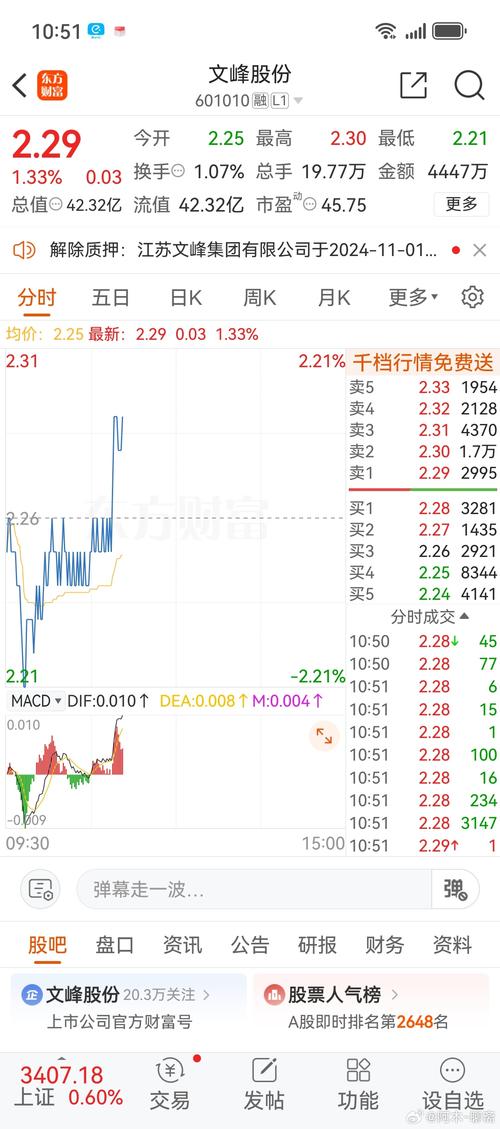 600503華麗家族股吧，600503股票行情